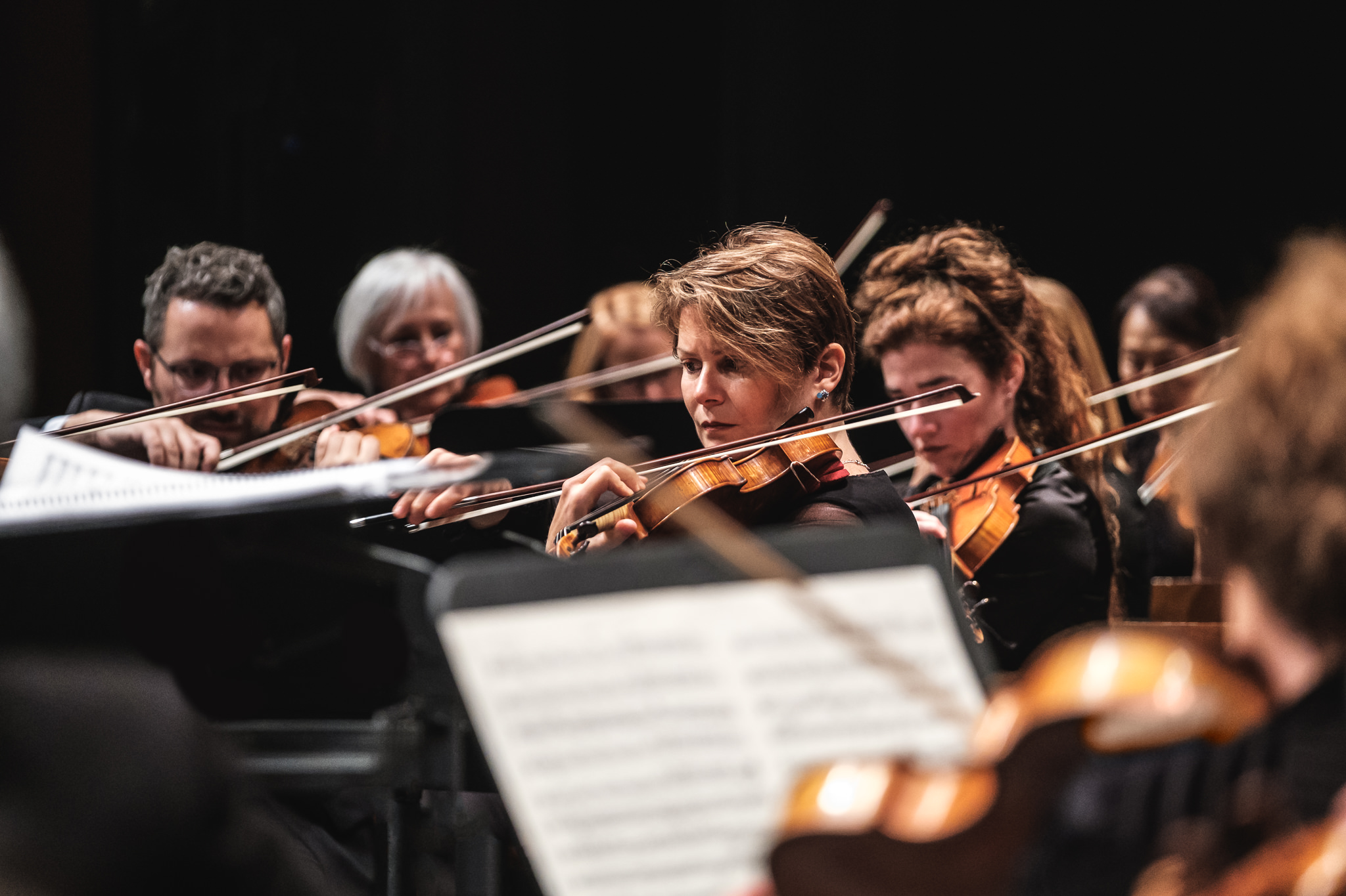 Group of people sitting close together playing the violon.