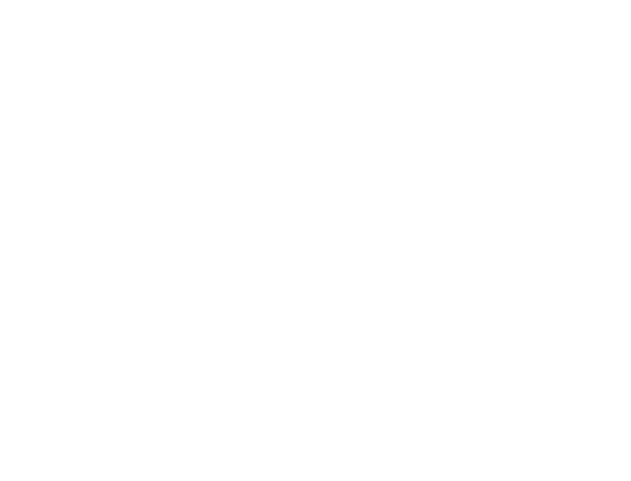 Logo blanc du restaurant Nacho Pub