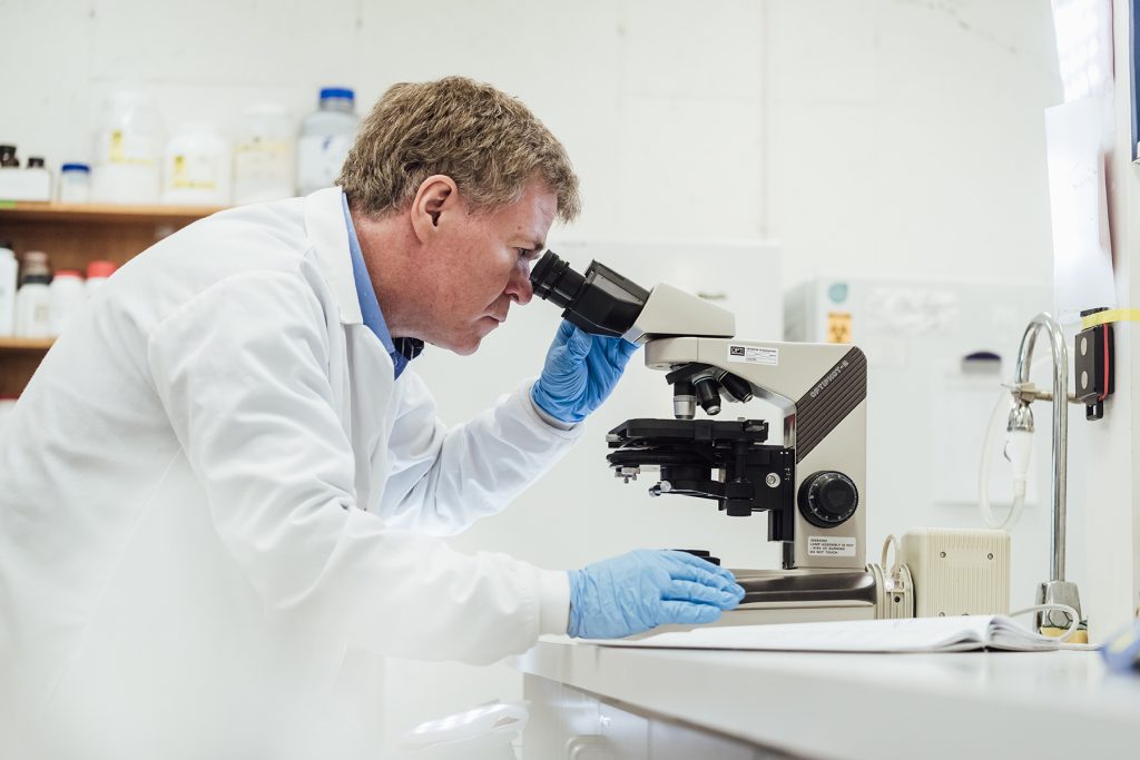 Sylvain Moineau at work in his laboratory.