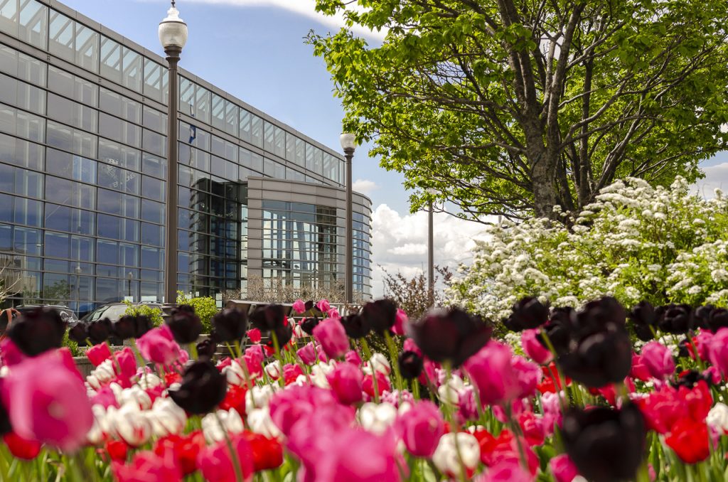 Exterior facade of the Convention Centre in spring, with a row of tulips and a green tree.