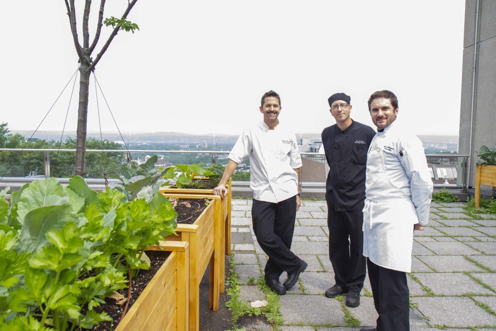 Simon Renaud, Executive Chef of the Québec City Convention Centre, and his culinary brigade harvesting vegetables from the Promenade Desjardins urban garden.