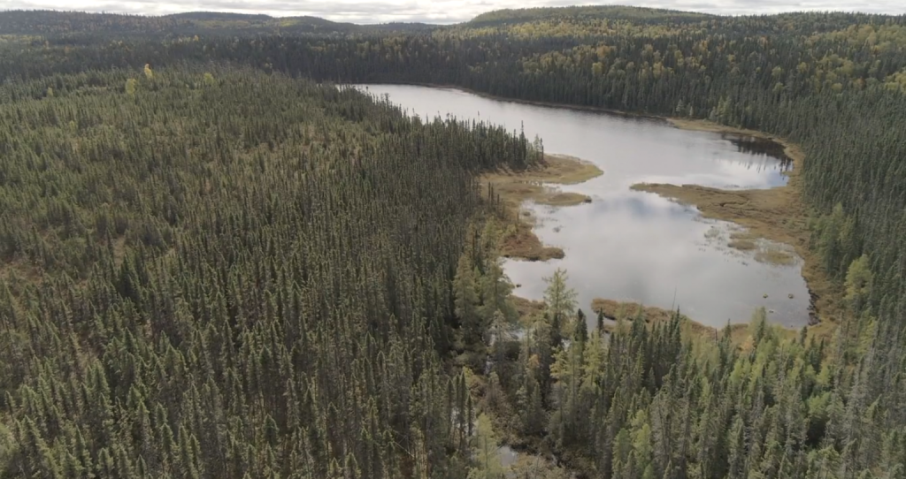 Aerial view of Bloc Monet, a Solifor Group forest area.