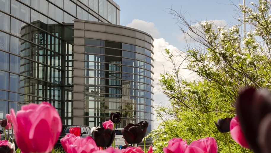 Exterior facade of the Convention Centre in spring, with a row of tulips and a green tree.